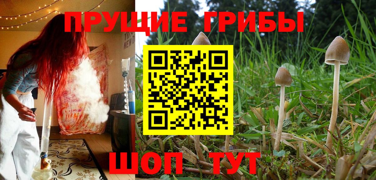 Галлюциногенные грибы прущие грибы  Вход с VPN  Бахчисарай  Псилоцибиновые грибы MAGIC MUSHROOMS 