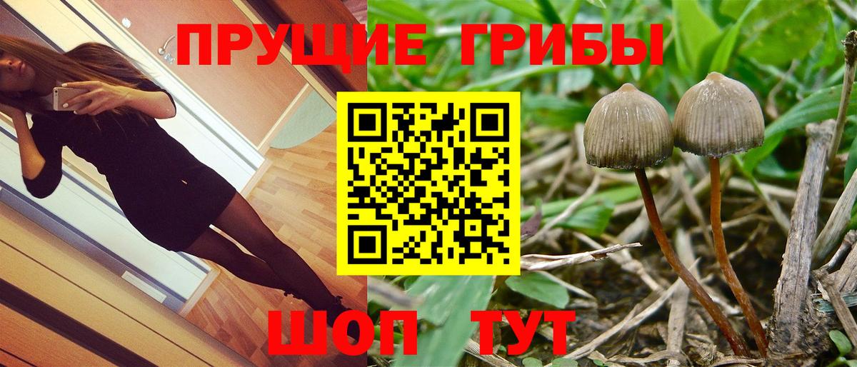 Псилоцибиновые грибы MAGIC MUSHROOMS Бахчисарай